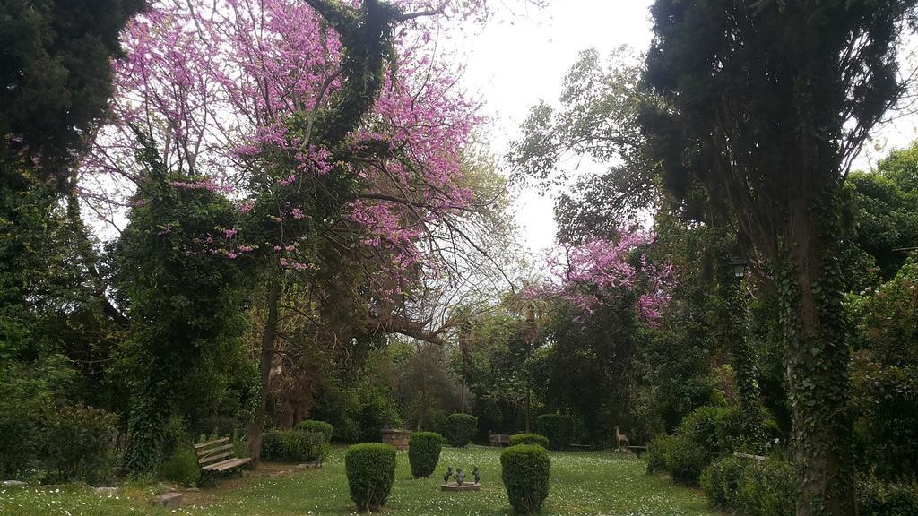 The Villa Averoff Kírinthos Rum bild