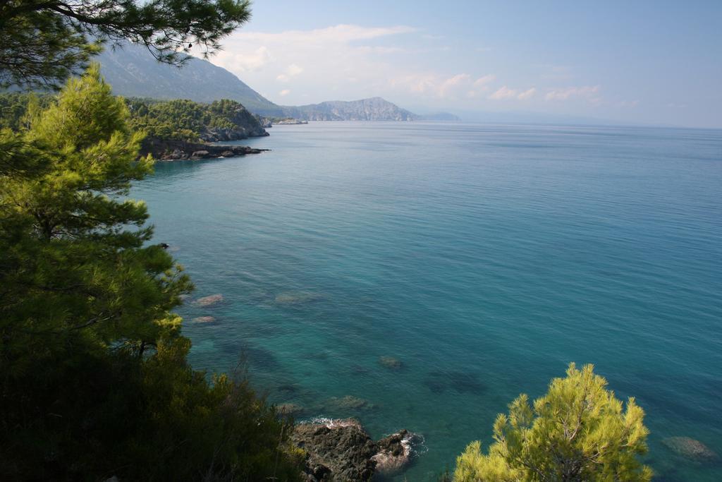 The Villa Averoff Kírinthos Rum bild